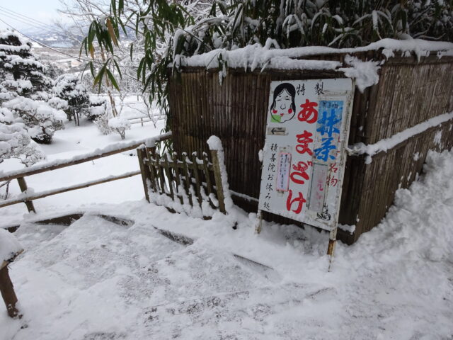 雪の積もった階段を降りる