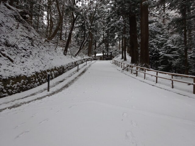中尊寺参道の雪景色