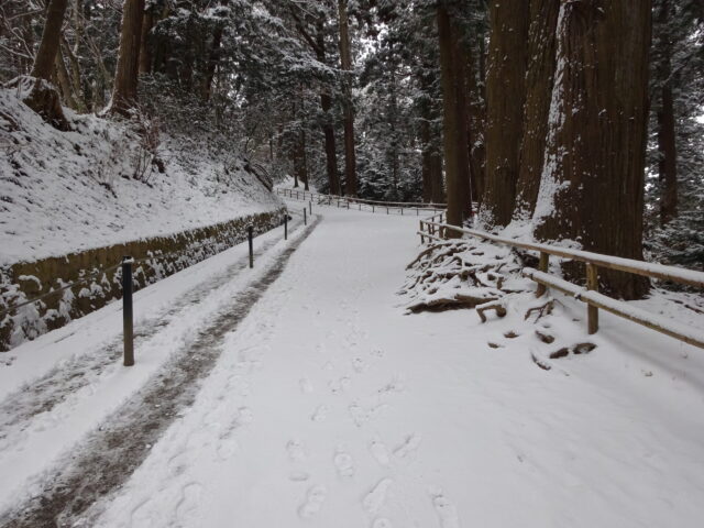 雪化粧した月見坂の木々