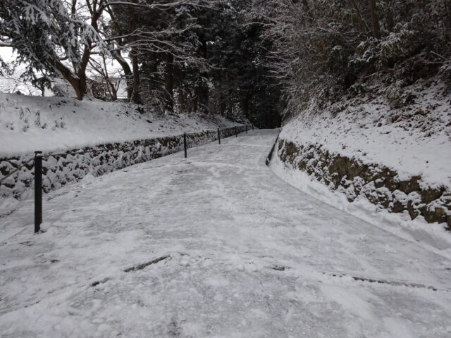 月見坂の杉並木と雪