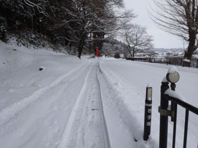 赤い鳥居が見えてくる