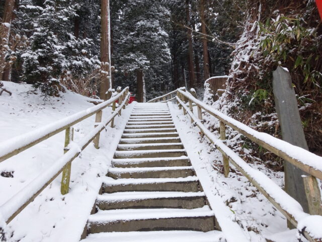 雪の鳥居をくぐって登る