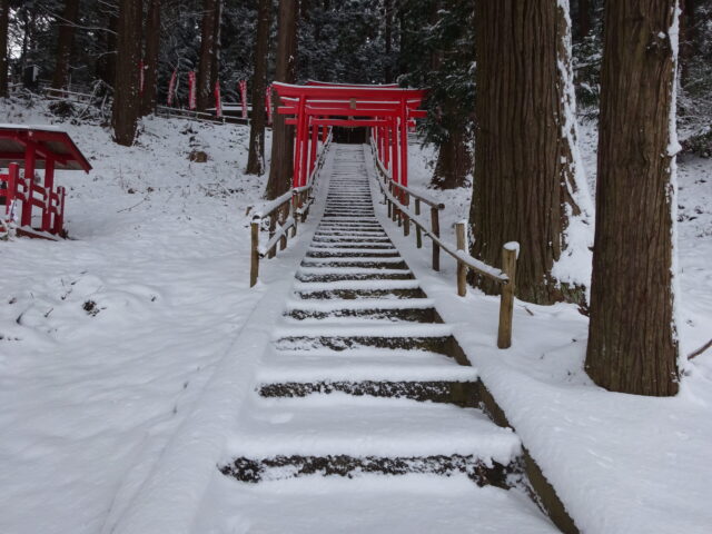 雪化粧した鳥居の連なり