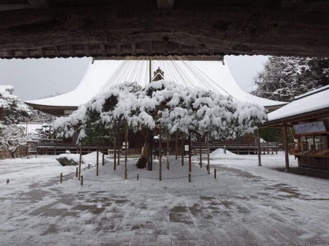 本堂の境内に入る