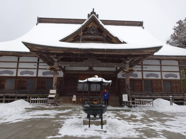職人技が光る雪吊りの全景