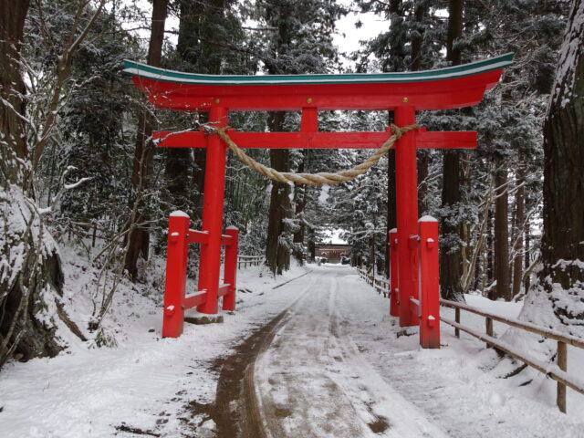 雪の参道を歩く
