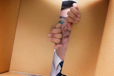 段ボールの中にゴキブリがいるかも