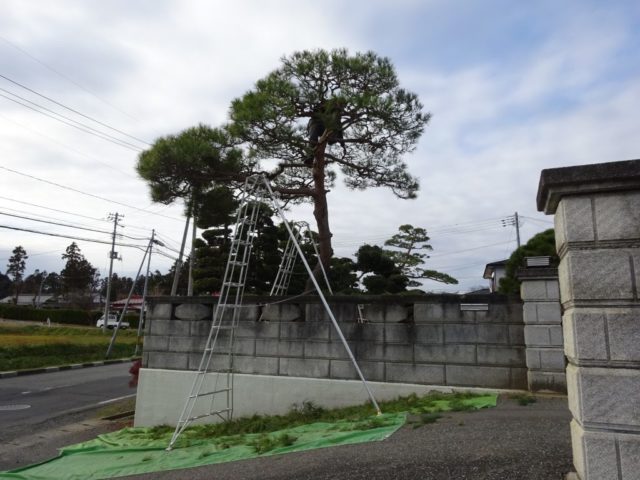 三脚脚立も安心して作業はできない！5mの高所からの恐怖体験