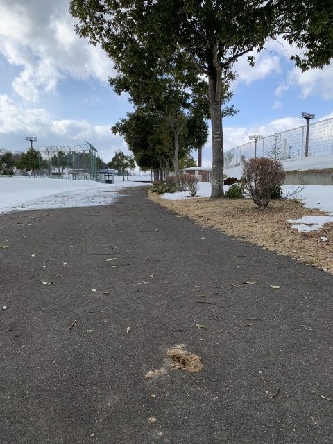 管理が行き届かない公園の様子